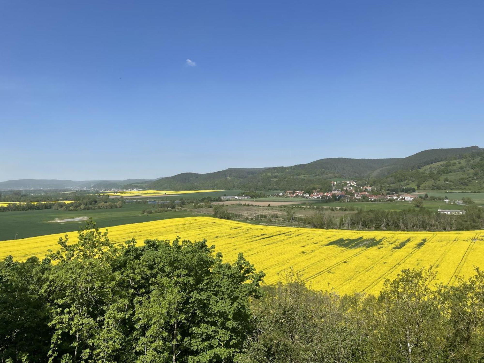 Hotel & Restaurant Schloss Weissenburg Uhlstädt Cameră foto